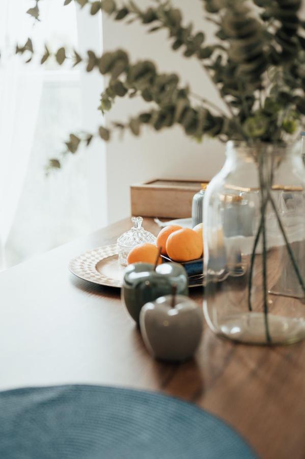 Blue_Loft Apartment Сандомир Екстериор снимка