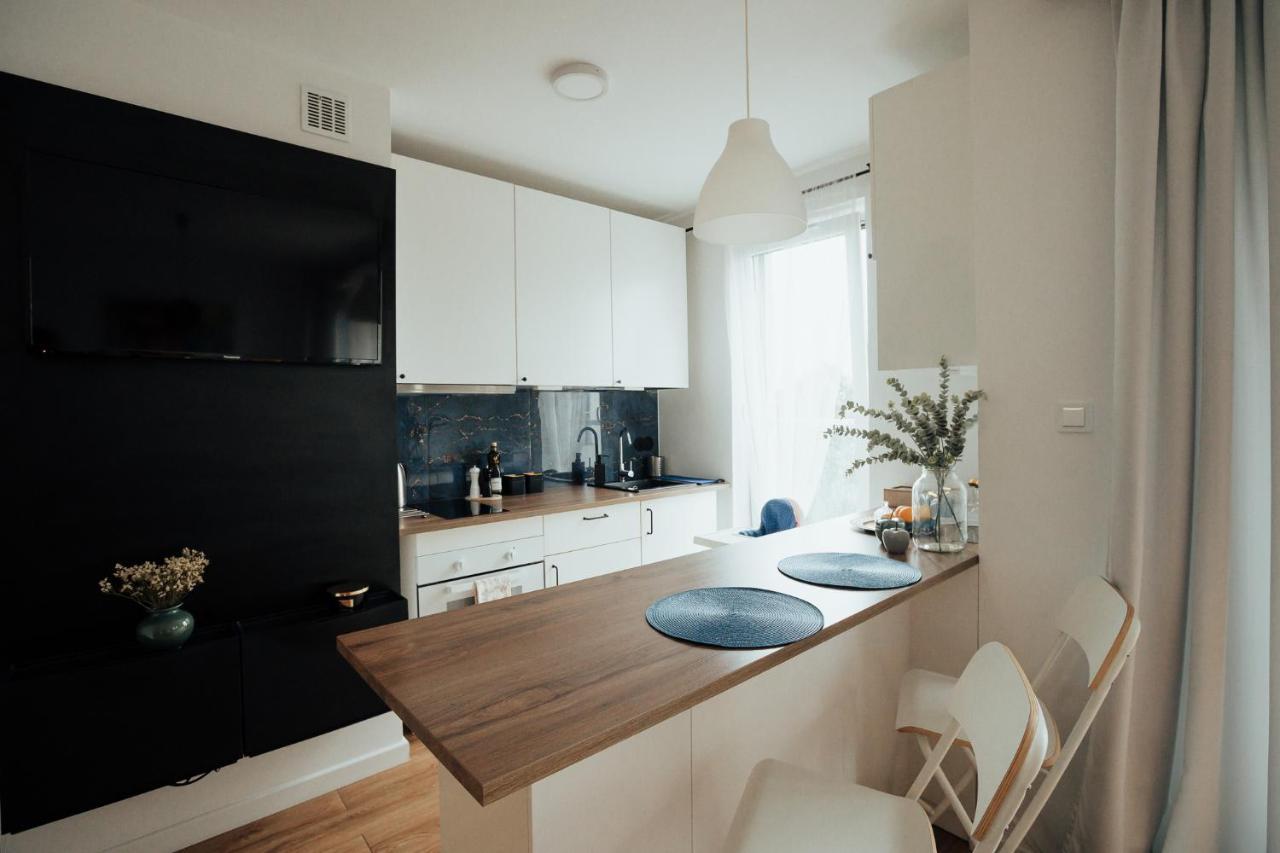 Blue_Loft Apartment Сандомир Екстериор снимка