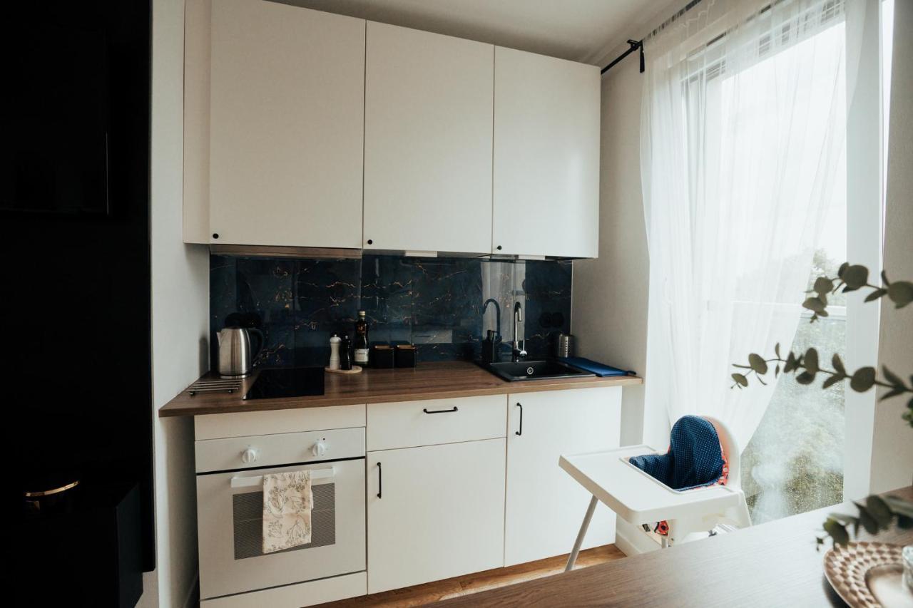 Blue_Loft Apartment Сандомир Екстериор снимка